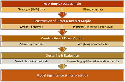 Connecting phenotype to genotype: PheWAS-inspired analysis of autism spectrum disorder